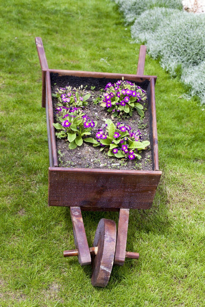 27 Wheelbarrow Flower Planter Ideas for Your Yard